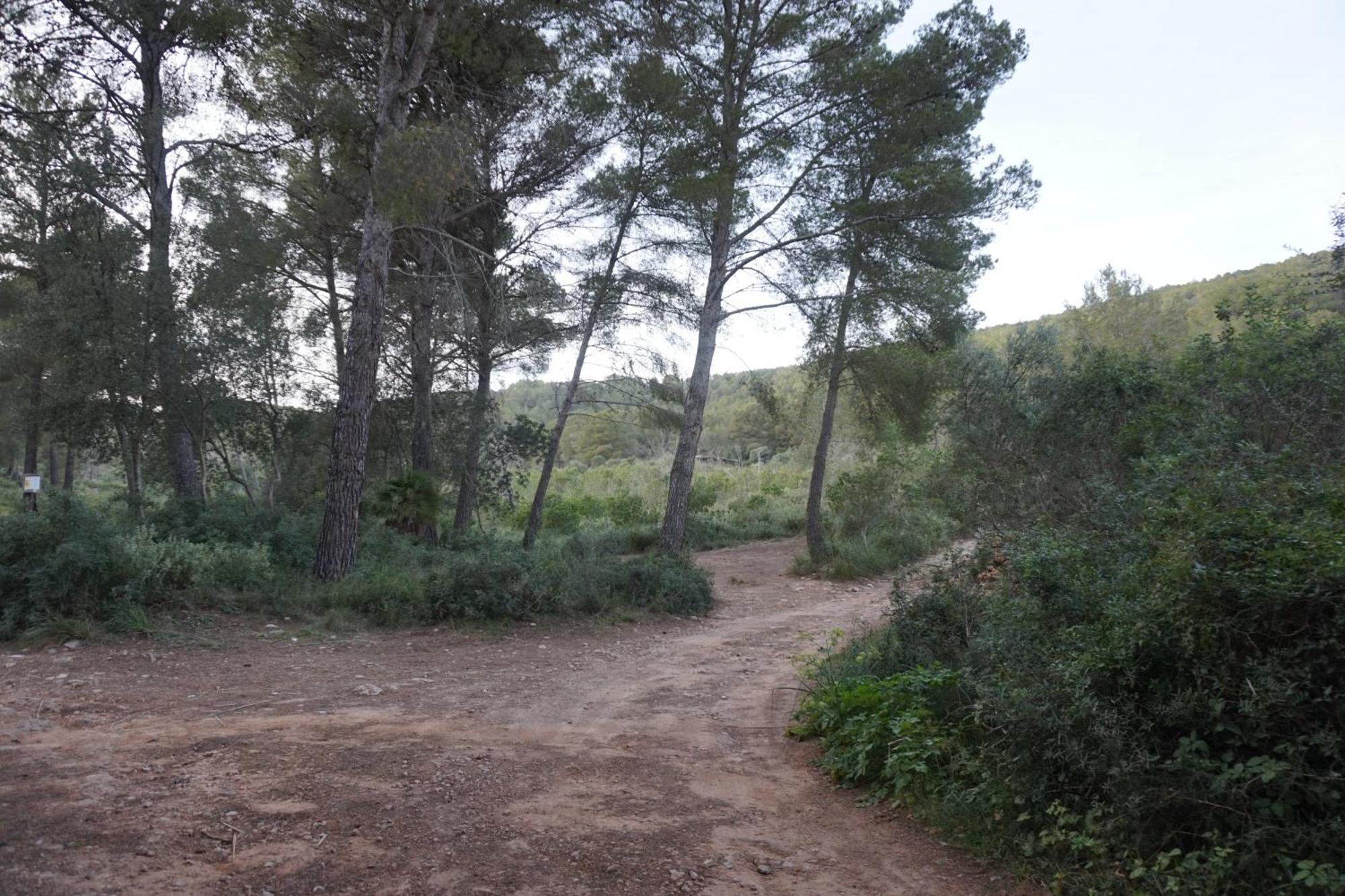 Chalet Font De Sa Cala Buitenkant foto